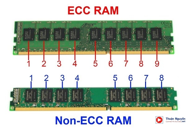 RAM ECC có 9 chip còn RAM Non-ECC chỉ có 8 chip